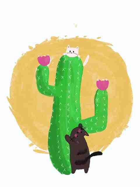 魔幻·糖心vlog电脑版·探索热度引擎：行业首发