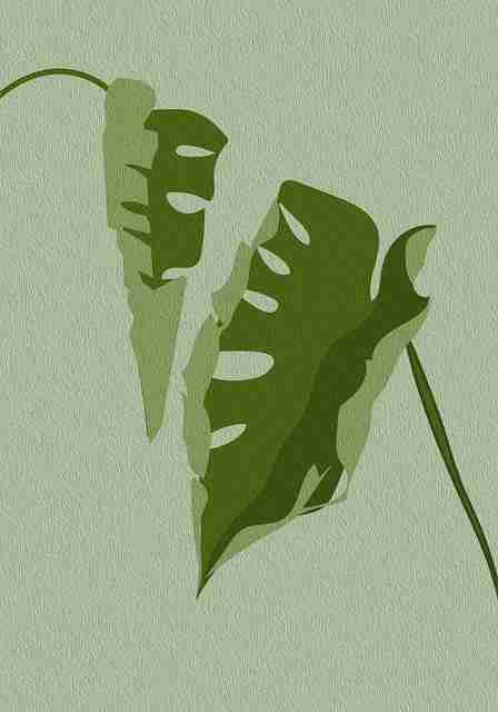 焦点级·每日大赛在线免费观看·梳理价值链：策略指南，焦点解决案例分享