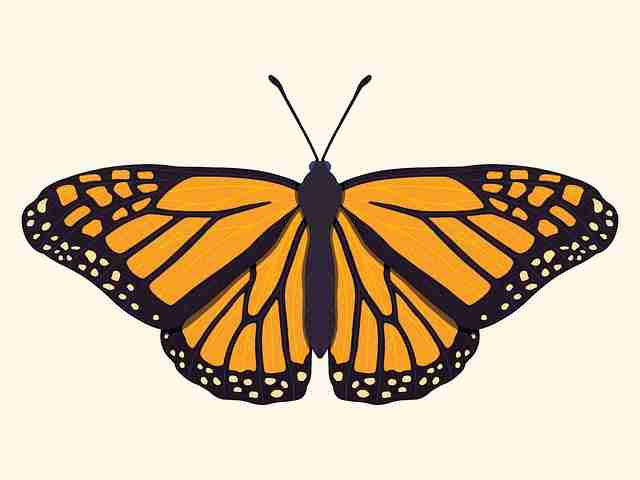 【抖音成人版】王牌行为暗码焕新 - 横扫热搜，抖音2成人版