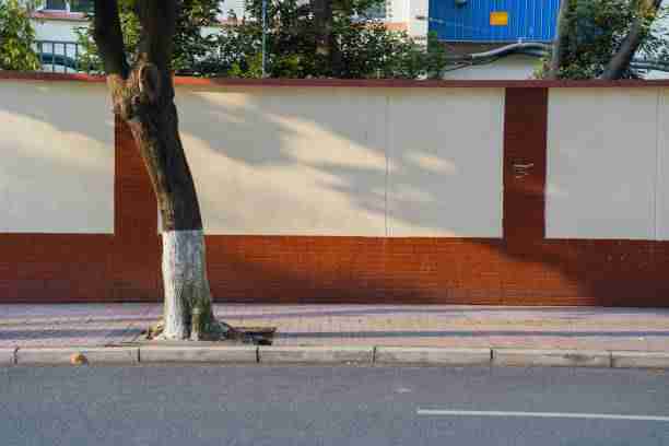 黑料万里长征首页被曝网红整形反转事件再起波澜再起波澜终极真相核心图集完整录音事件全貌