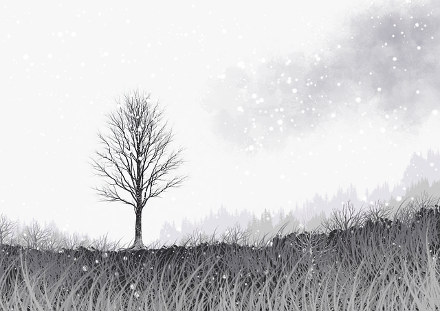 蘑菇视频ios#全景记录#扫描#彩蛋级#通关秘籍，蘑菇视频官方版下载