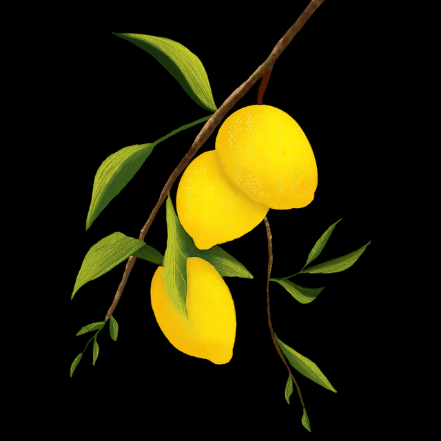 【抖音成人版】超级审美风向透视 - 深夜慎点